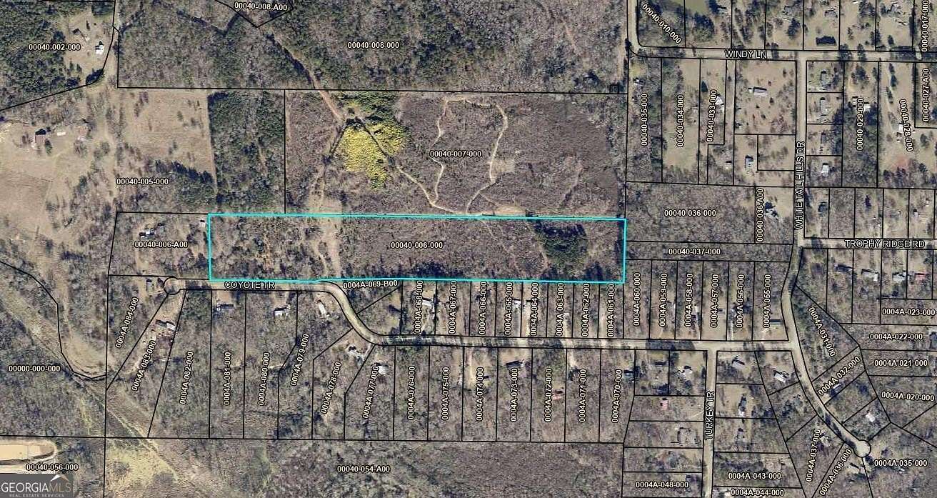 20.37 Acres of Agricultural Land for Sale in Jackson, Georgia