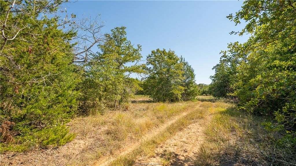 109 Acres of Recreational Land & Farm for Sale in Caldwell, Texas