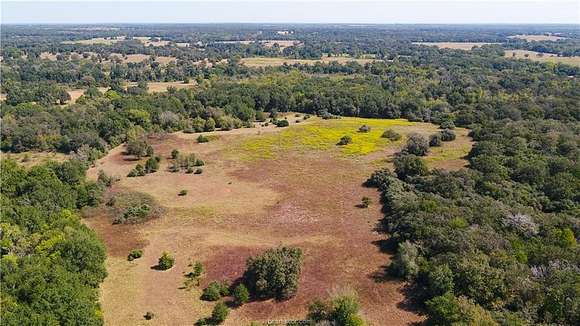 109 Acres of Recreational Land & Farm for Sale in Caldwell, Texas