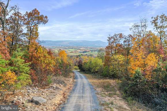 49.12 Acres of Recreational Land for Sale in Maurertown, Virginia