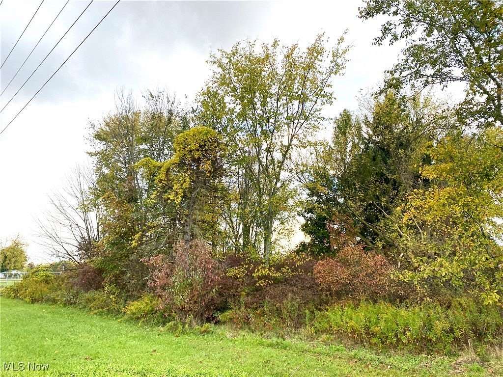 1 Acre of Land for Sale in Wellington, Ohio