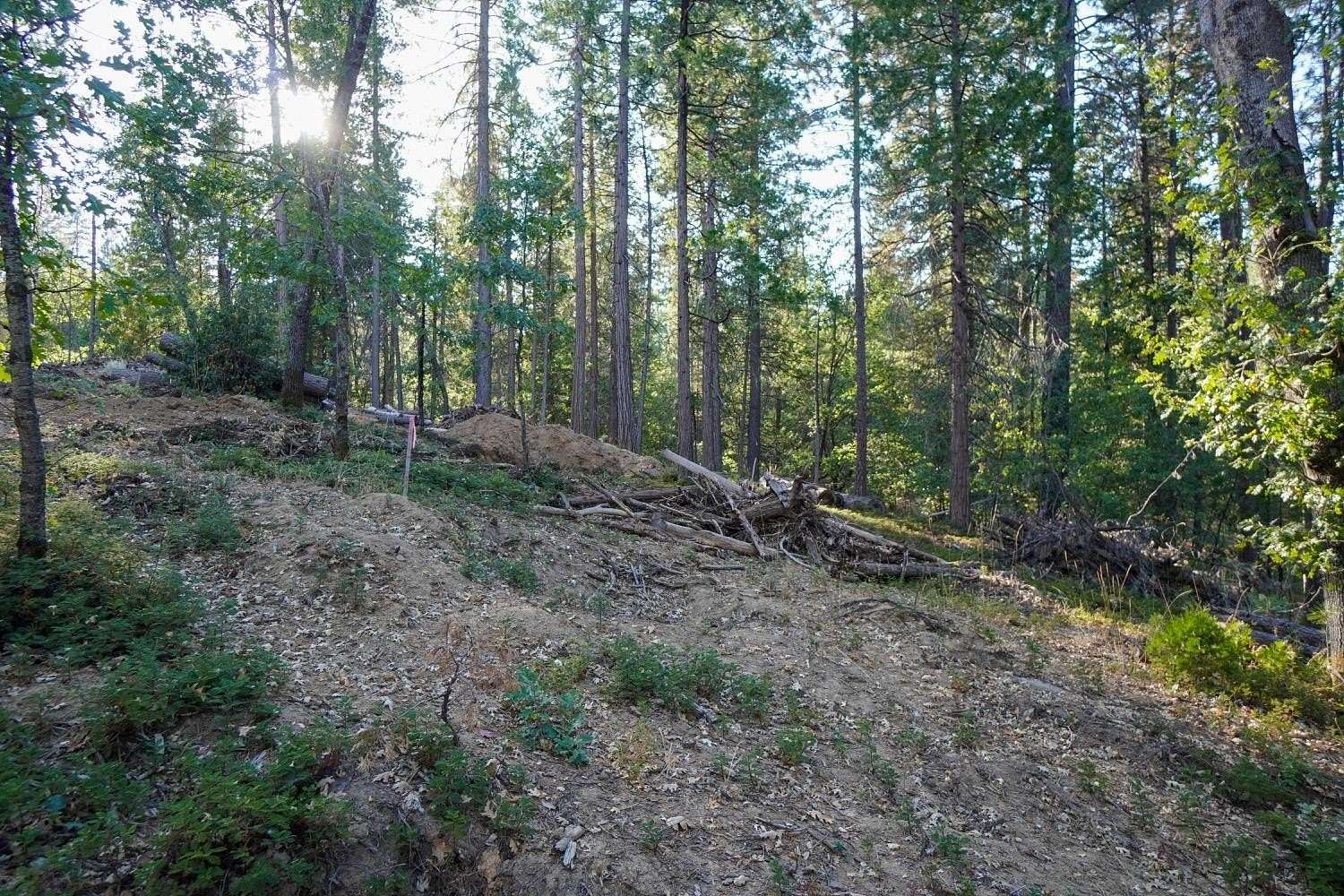 0.49 Acres of Residential Land for Sale in Hathaway Pines, California