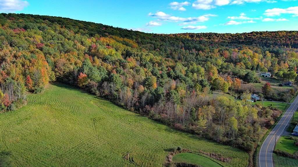 15 Acres of Land for Sale in Pine City, New York