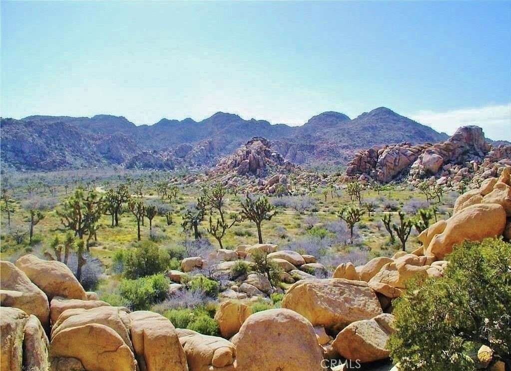 0.61 Acres of Land for Sale in Joshua Tree, California