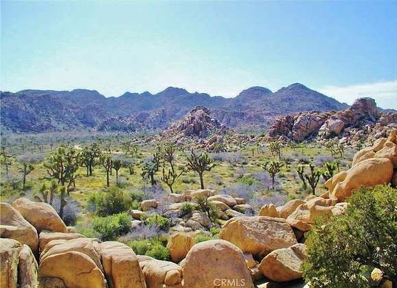 0.612 Acres of Land for Sale in Joshua Tree, California