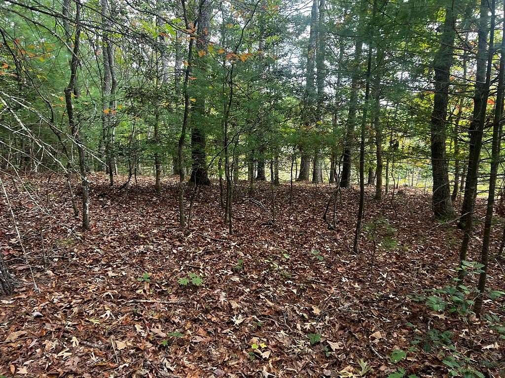 38 Acres of Recreational Land for Sale in Murphy, North Carolina