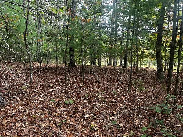 38 Acres of Recreational & Residential Land for Sale in Murphy, North Carolina