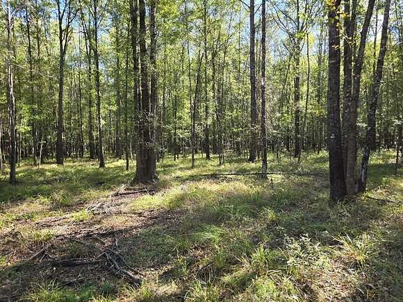 15 Acres of Recreational Land for Sale in Hazlehurst, Mississippi