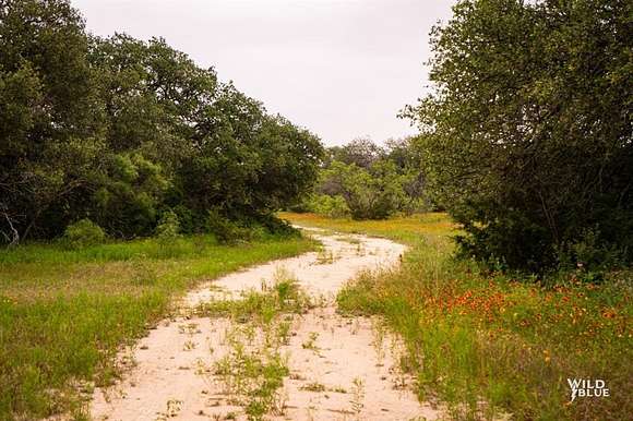 80.18 Acres of Land for Sale in Blanket, Texas