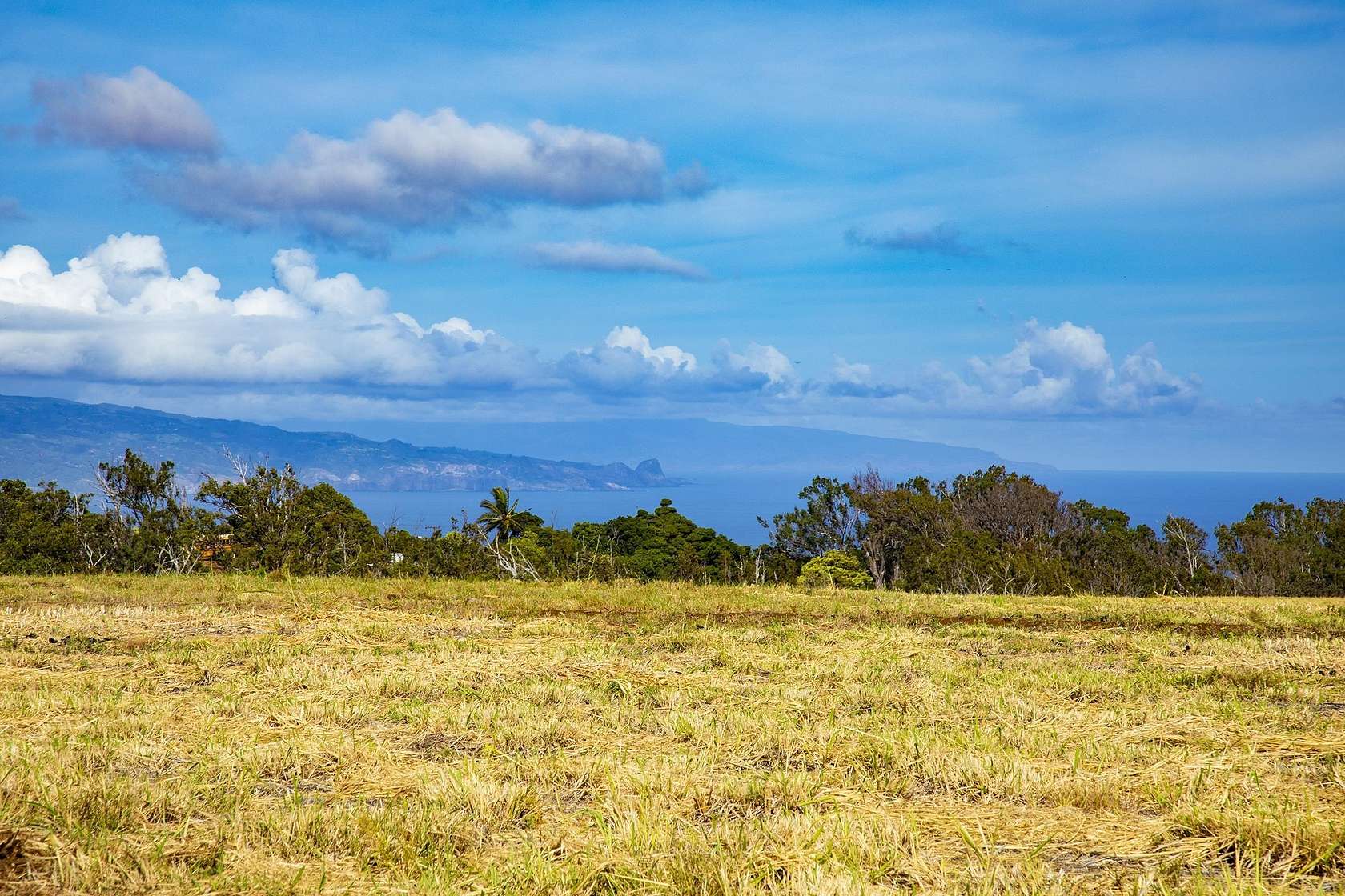 25.149 Acres of Land for Sale in Makawao, Hawaii