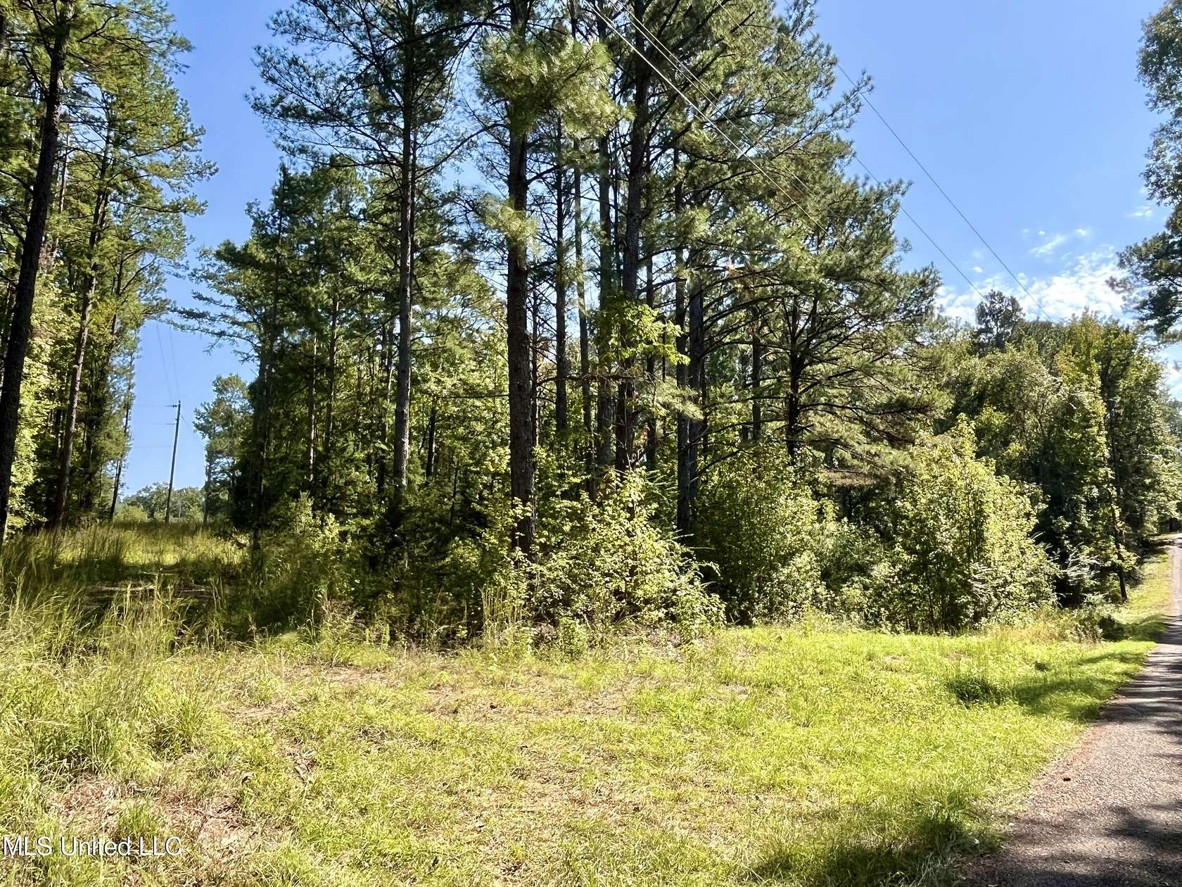 2.3 Acres of Residential Land for Sale in Crystal Springs, Mississippi