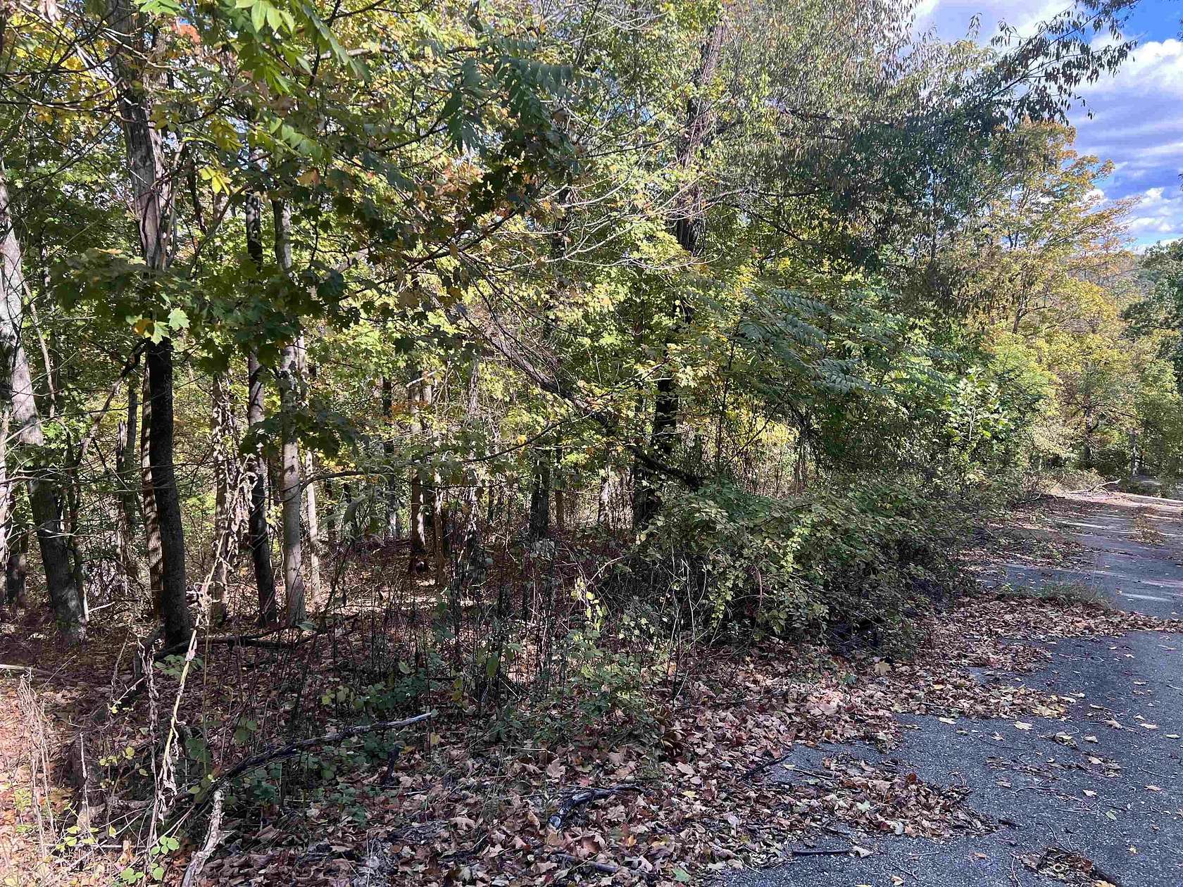 51.83 Acres of Land for Sale in Huntington, West Virginia