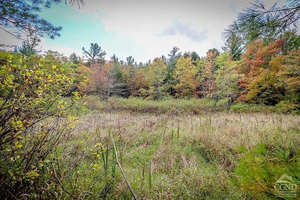 18.19 Acres of Land for Sale in Spencertown, New York