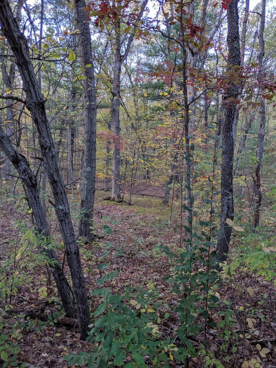 2.77 Acres of Land for Sale in Gowen, Michigan