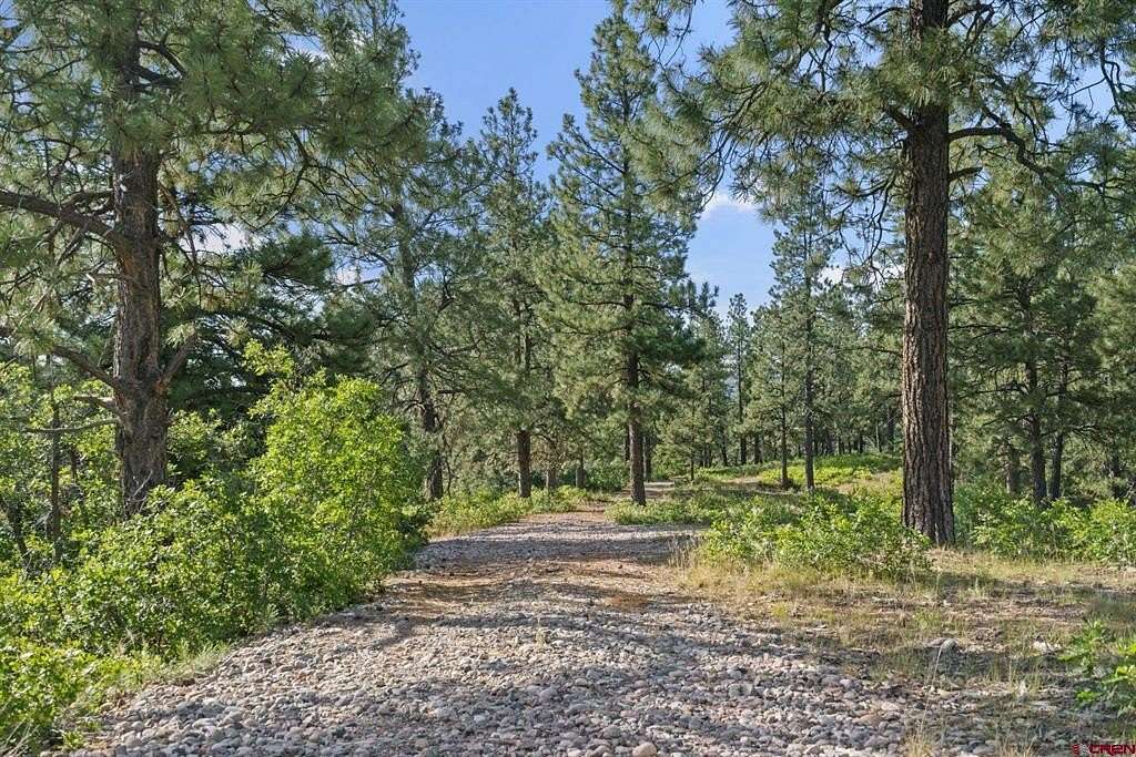 35.52 Acres of Land for Sale in Durango, Colorado