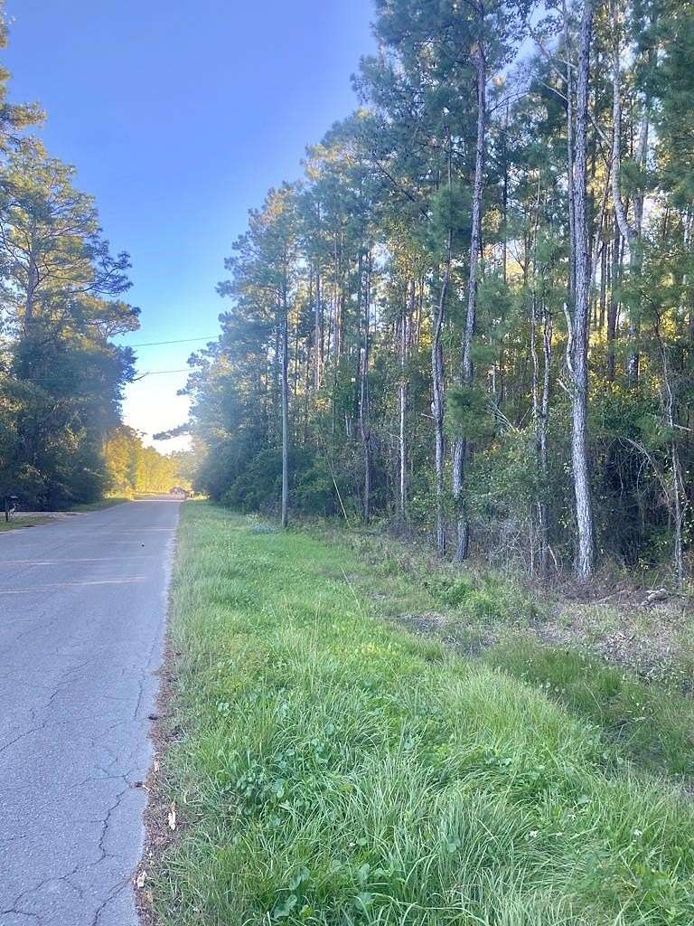 0.61 Acres of Residential Land for Sale in Wewahitchka, Florida