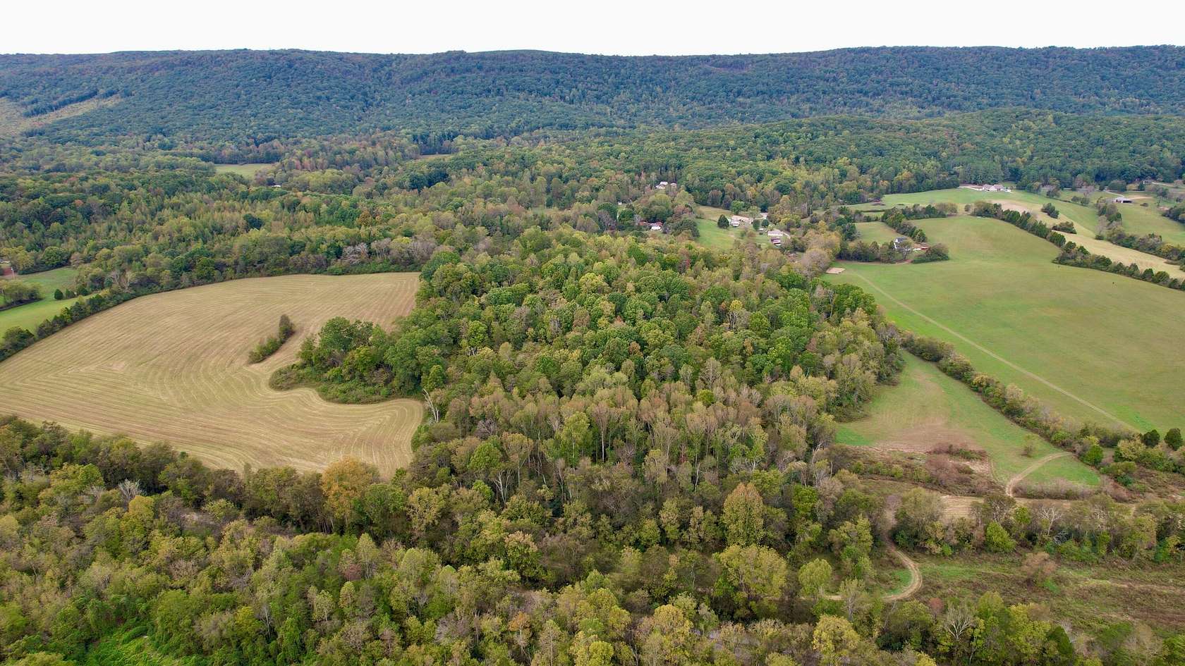 9.89 Acres of Residential Land for Sale in Spring City, Tennessee