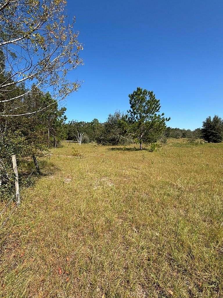 27.25 Acres of Agricultural Land for Sale in Bell, Florida