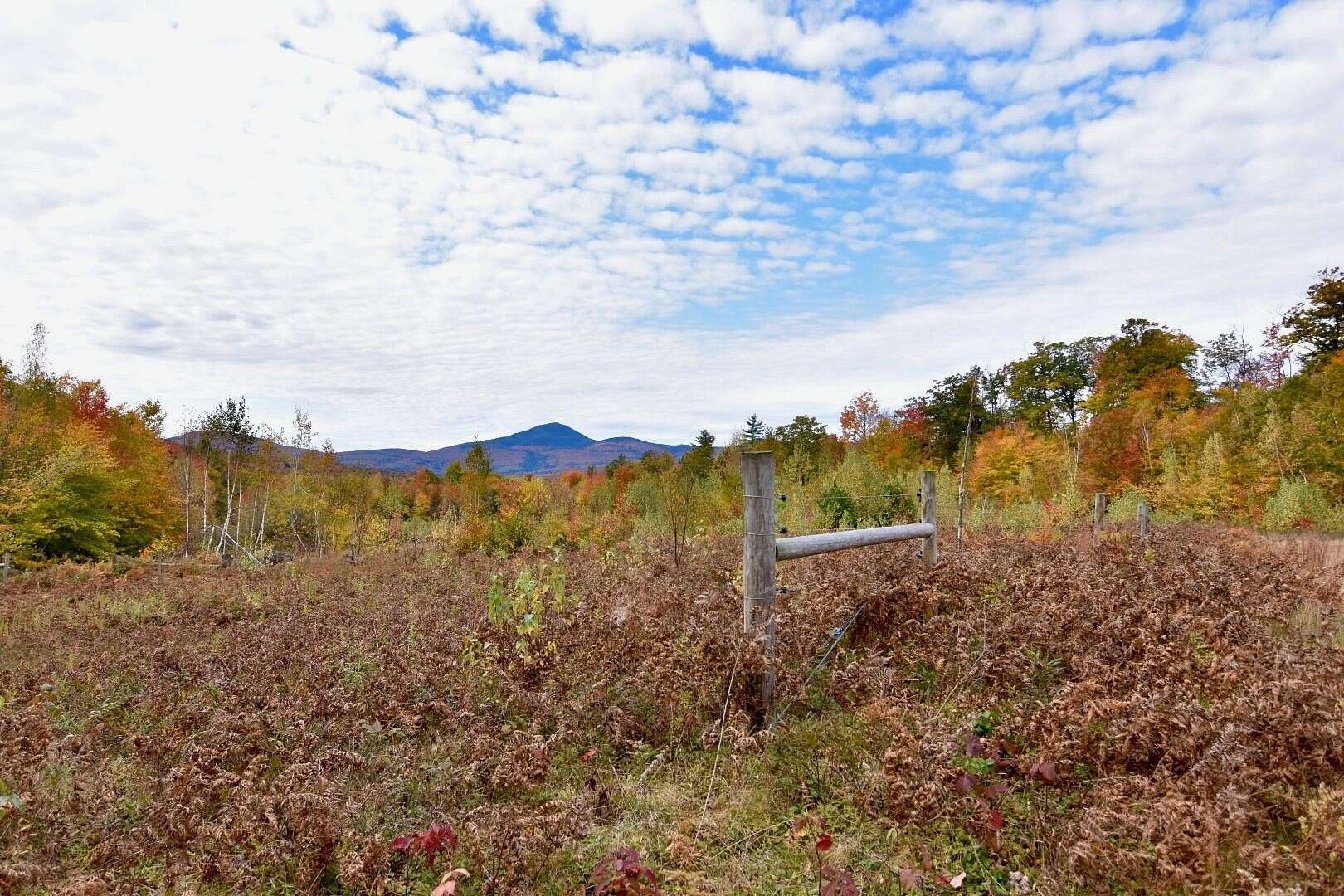 50 Acres of Land for Sale in Fryeburg, Maine