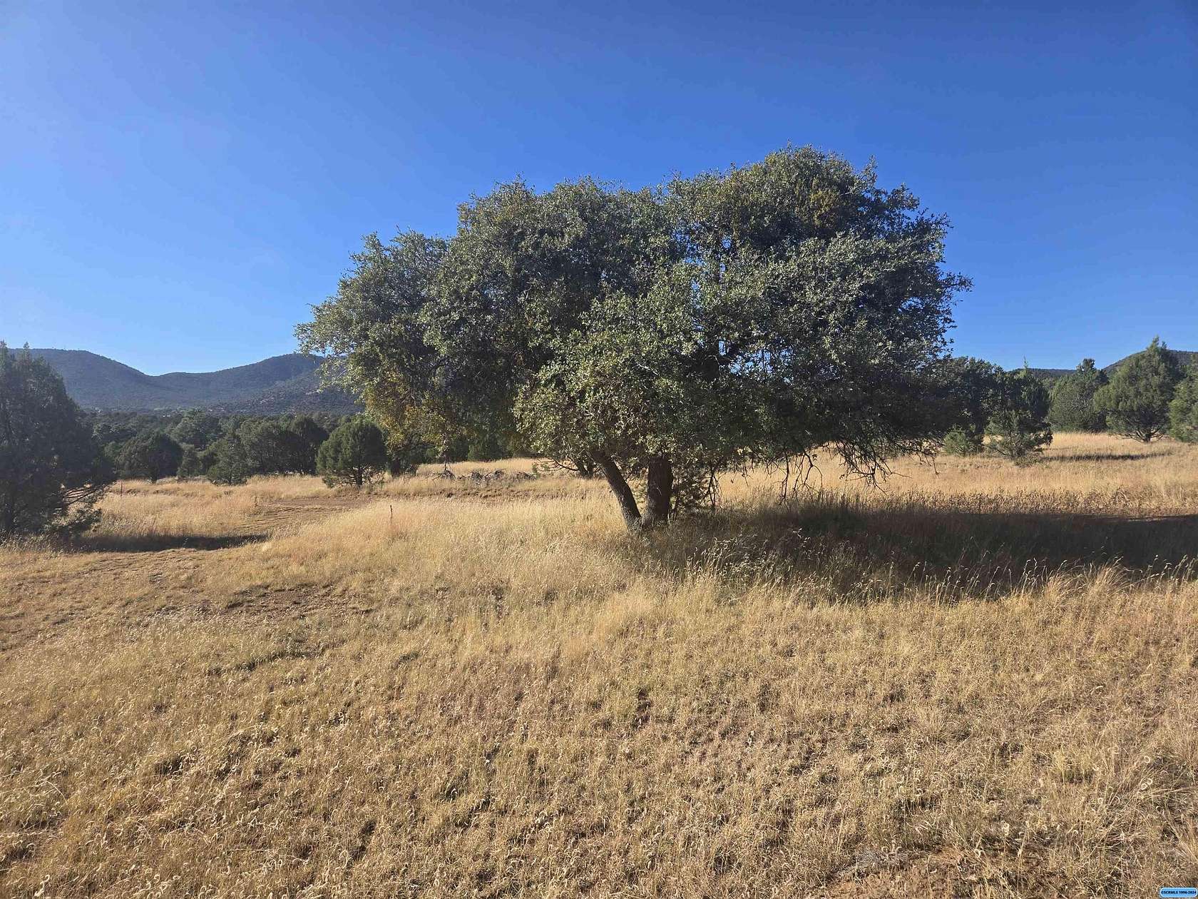 20.5 Acres of Land for Sale in Silver City, New Mexico