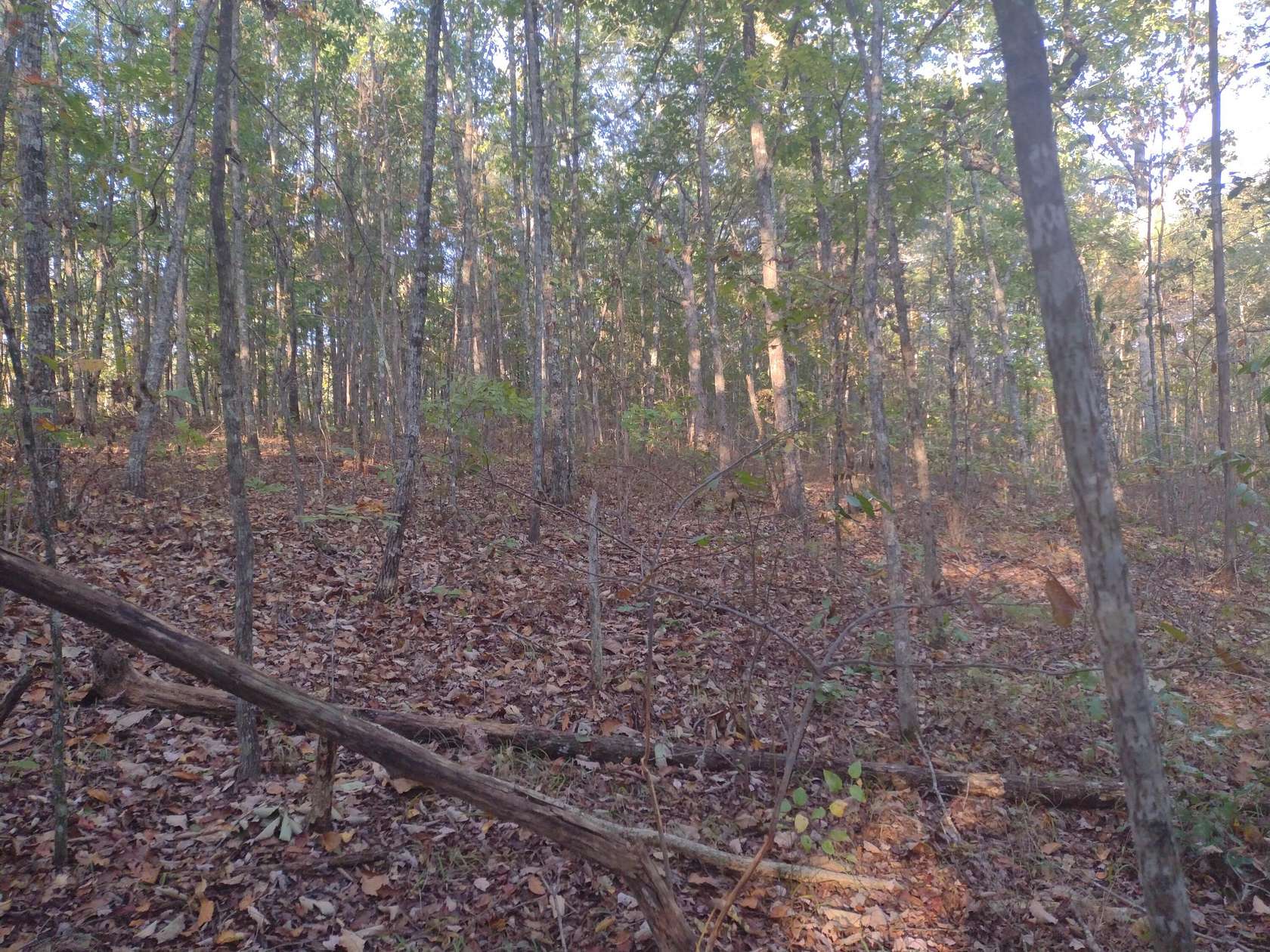 1.88 Acres of Residential Land for Sale in Pikeville, Tennessee