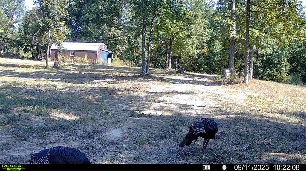 25.6 Acres of Land for Sale in Higbee, Missouri