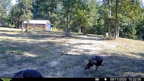 25.6 Acres of Land for Sale in Higbee, Missouri