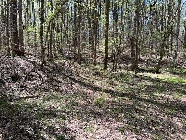 35.72 Acres of Agricultural Land with Home for Sale in Cumming, Georgia