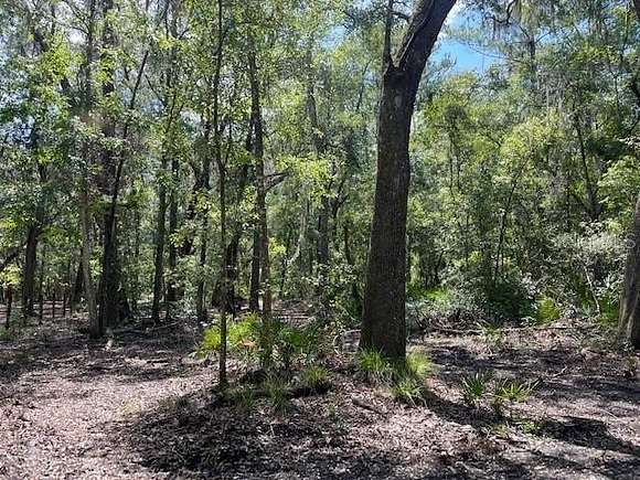 8 Acres of Land for Sale in Micanopy, Florida