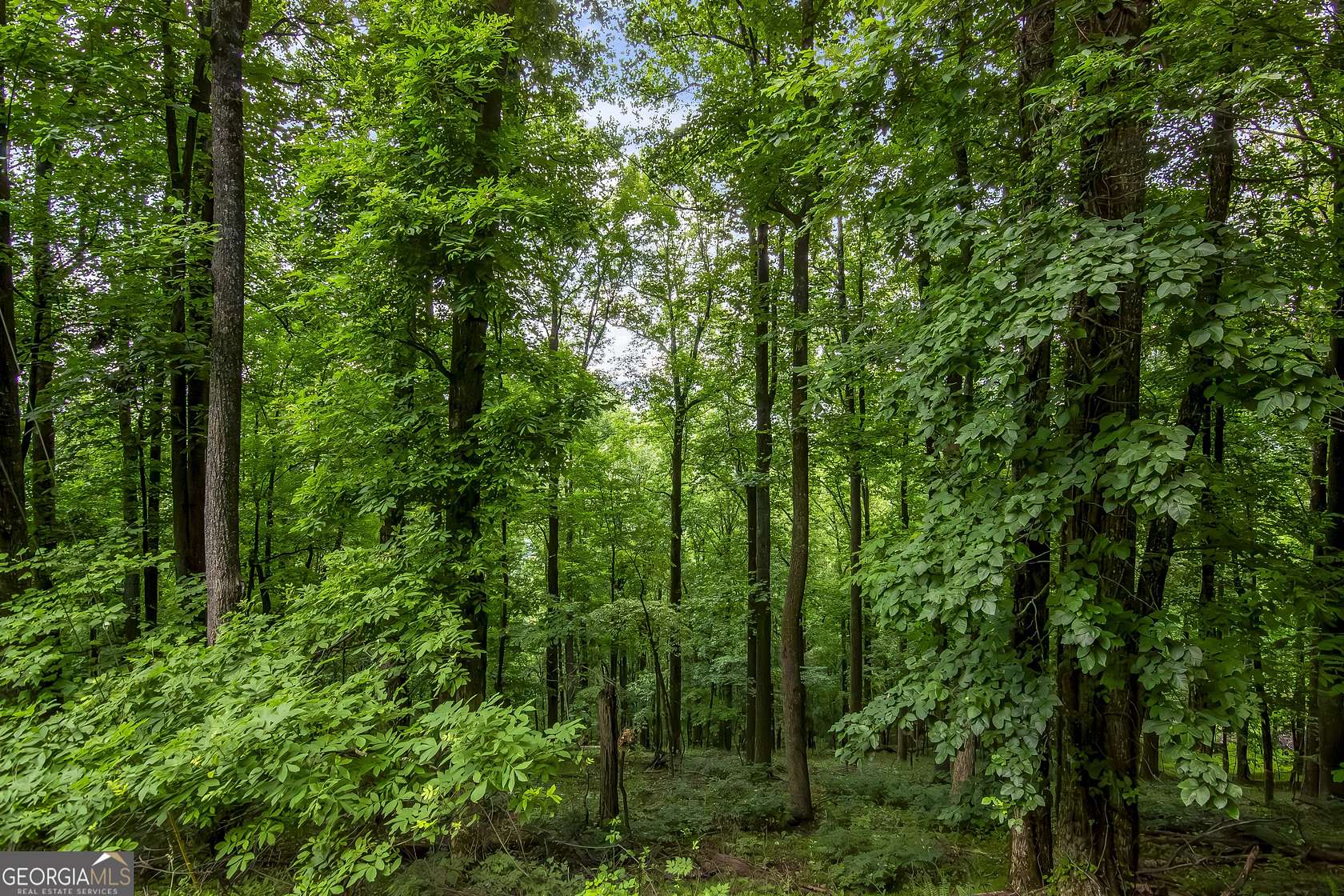 0.46 Acres of Residential Land for Sale in Ellijay, Georgia