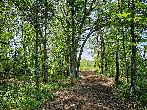 9.73 Acres of Recreational Land for Sale in Sand Creek, Wisconsin