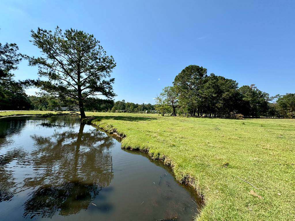 15 Acres of Agricultural Land for Sale in Yemassee, South Carolina