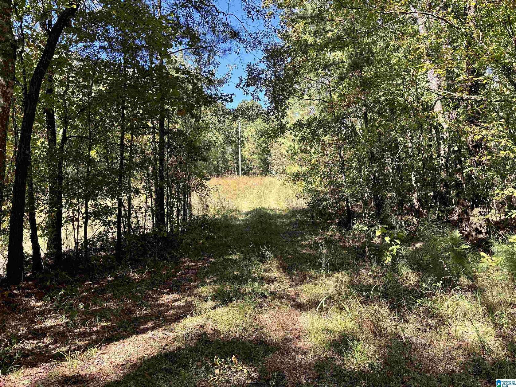 20 Acres of Recreational Land for Sale in Vincent, Alabama