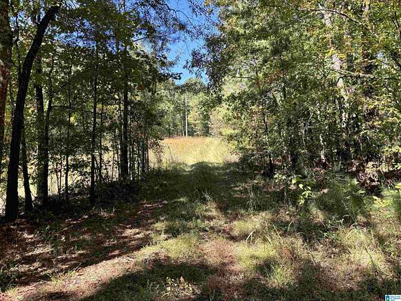 20 Acres of Recreational Land for Sale in Vincent, Alabama