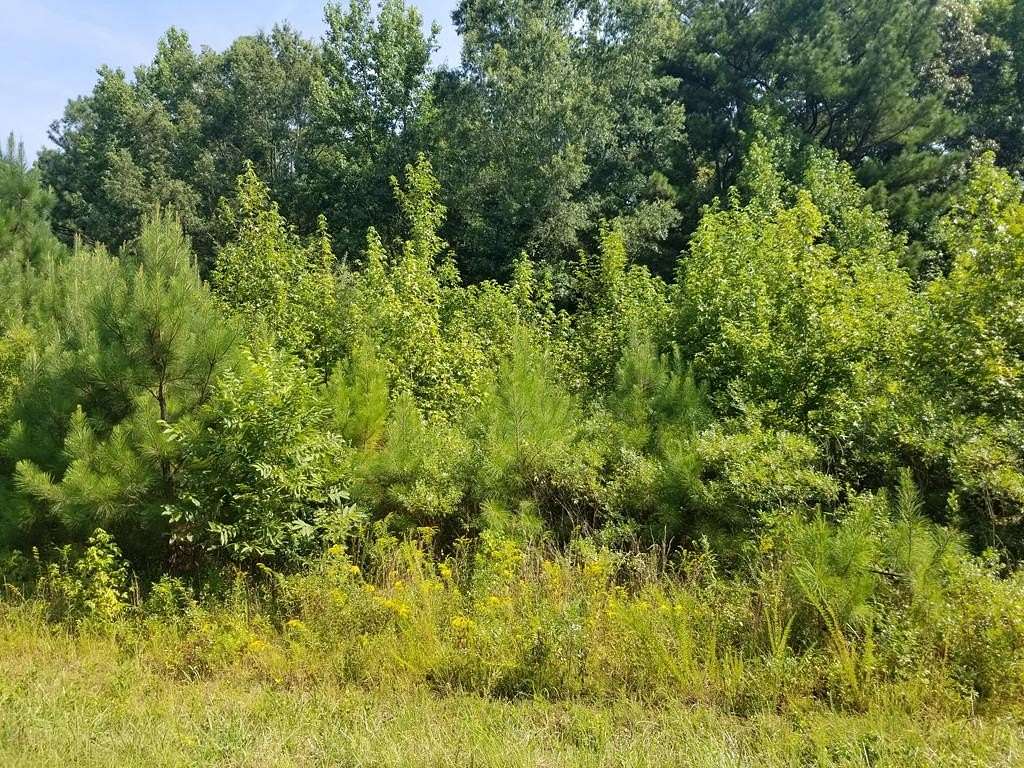 0.68 Acres of Residential Land for Sale in Roanoke Rapids, North Carolina