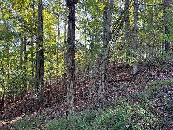 1.32 Acres of Land for Sale in Hayesville, North Carolina