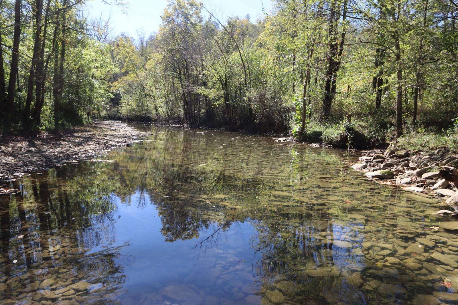 319 Acres of Recreational Land for Auction in Crawford, Tennessee