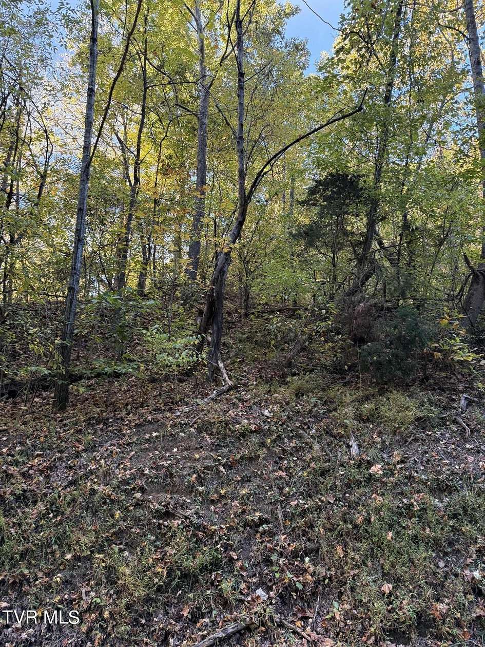 1 Acre of Residential Land for Sale in Blountville, Tennessee