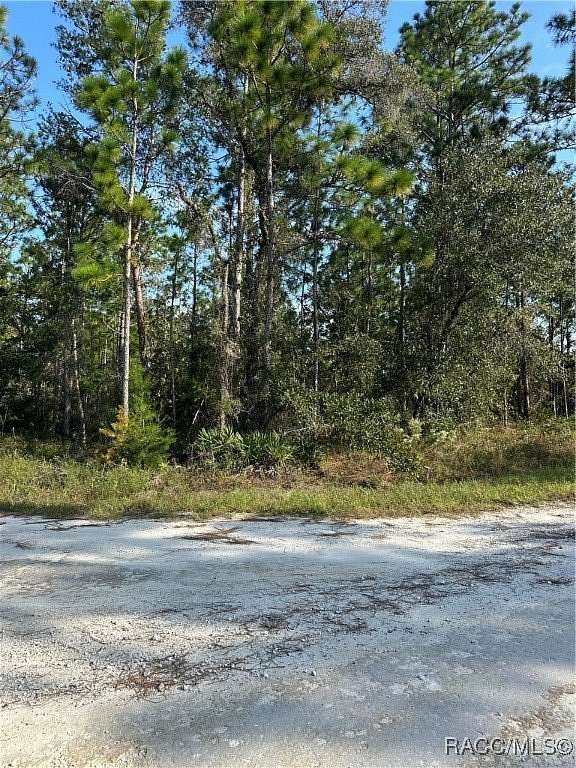 0.5 Acres of Residential Land for Sale in Weeki Wachee, Florida