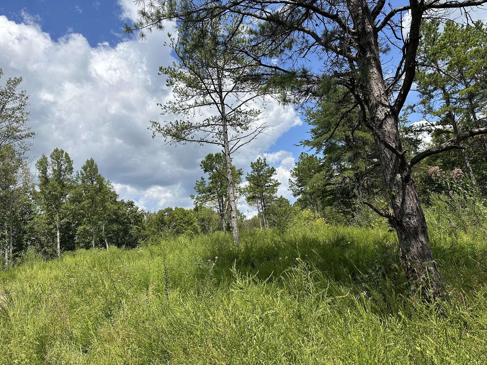 24.2 Acres of Recreational Land for Sale in Manchester, Kentucky