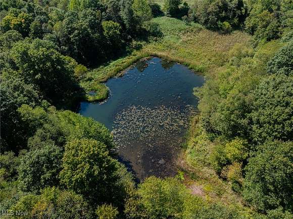 78.117 Acres of Recreational Land & Farm for Auction in Macksburg, Ohio