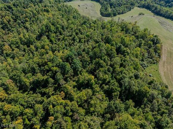 46.597 Acres of Recreational Land & Farm for Auction in Macksburg, Ohio