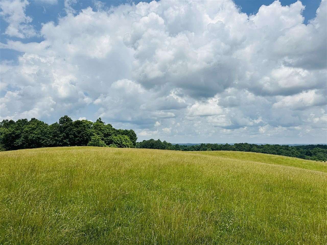 35.8 Acres of Land with Home for Sale in Mammoth Cave, Kentucky