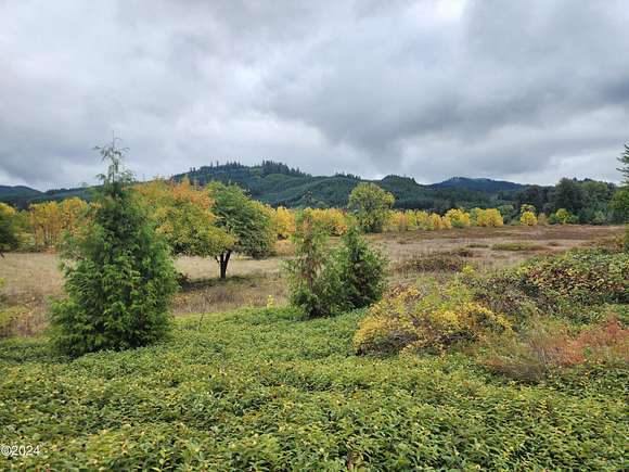 17.3 Acres of Land for Sale in Alsea, Oregon