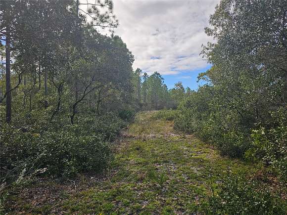 27.16 Acres of Recreational Land for Sale in Cedar Key, Florida