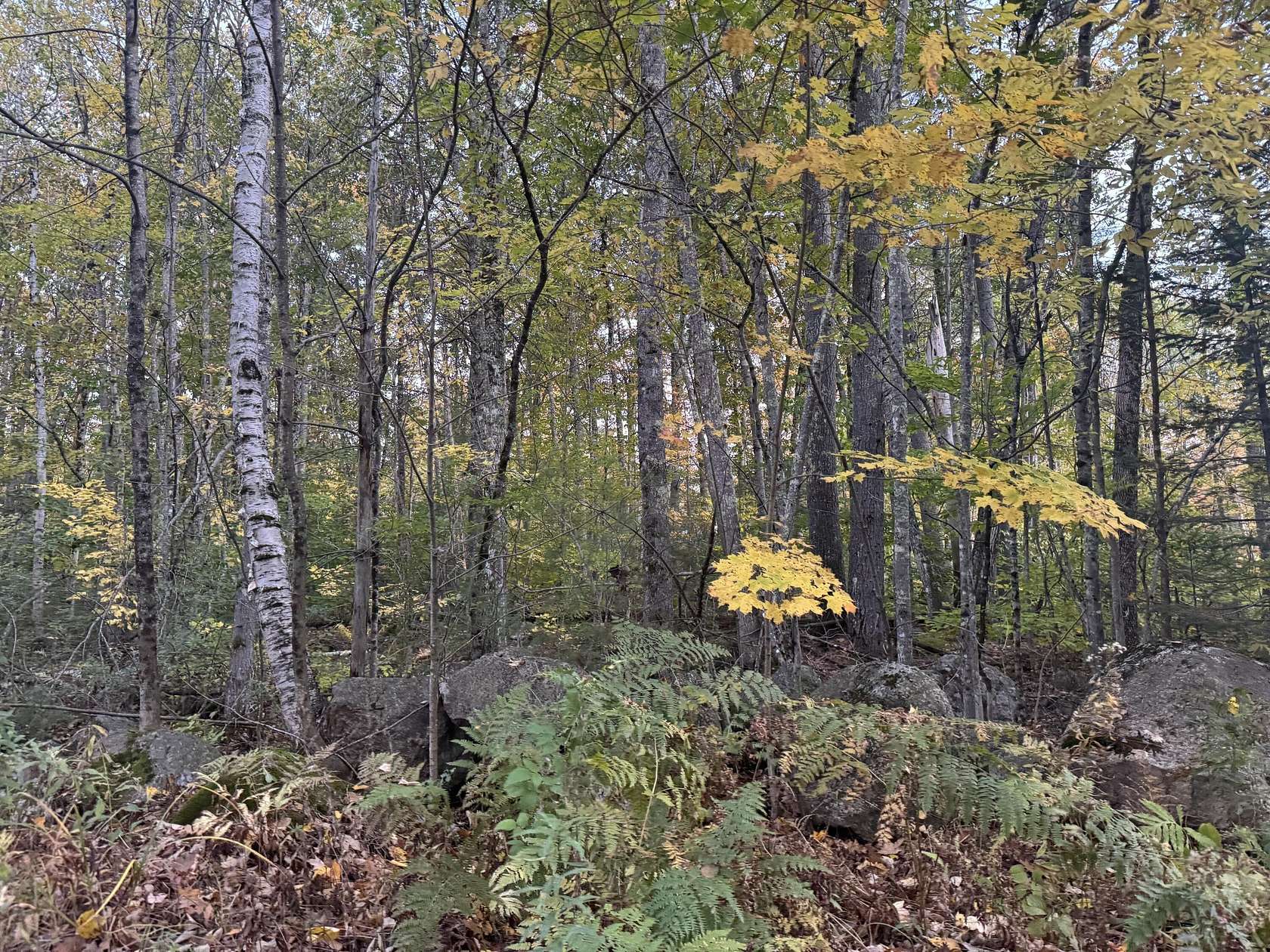 0.92 Acres of Land for Sale in Limerick, Maine