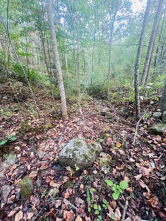 1.6 Acres of Land for Sale in Dunlap, Tennessee