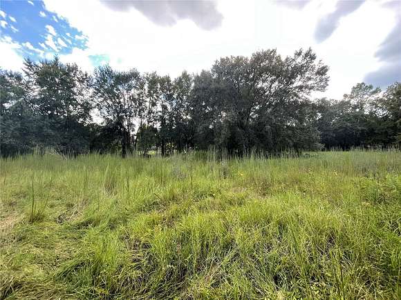 1.06 Acres of Residential Land for Sale in Lutz, Florida