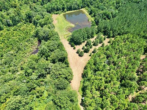 206 Acres of Land for Sale in Goshen, Alabama