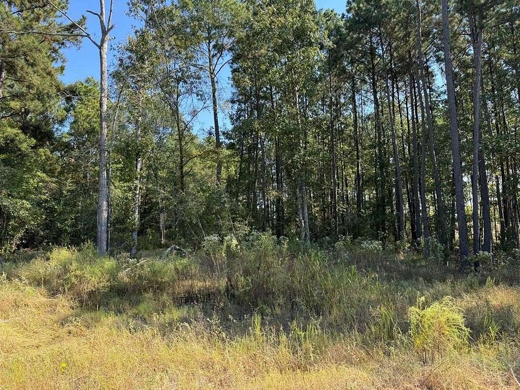 0.91 Acres of Residential Land for Sale in Lufkin, Texas